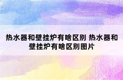 热水器和壁挂炉有啥区别 热水器和壁挂炉有啥区别图片